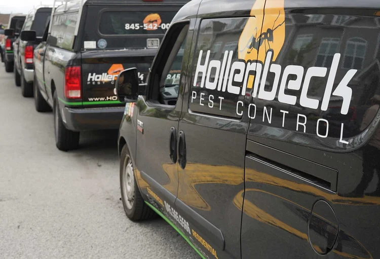 Hollenbeck Pest Control service vans lined up with branded vehicle graphics in the Hudson Valley.