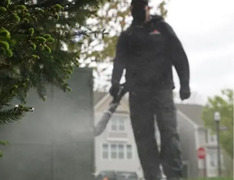 Pest control technician treating vegetation around a property