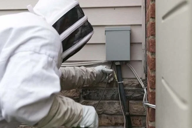 Pest control technician inspecting the exterior of a home near an electrical utility box