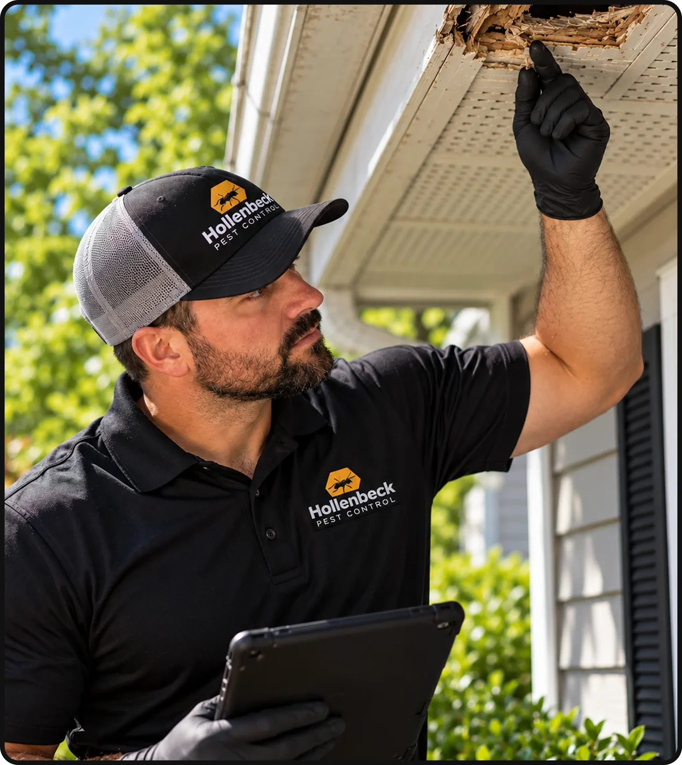 Wildlife pest control technician inspecting damaged soffit and fascia for signs of wildlife entry